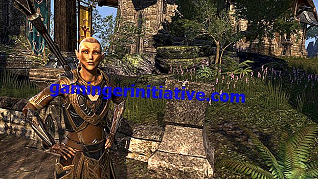 Elder Scrolls Online: So spezifizieren Sie Ihren Charakter