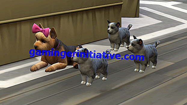 Sims 4 Cats & Dogs: So verkaufen Sie Ihr Haustier