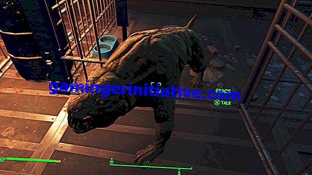 Fallout 4: Far Harbor - So erhalten Sie drei neue Hunde für Ihre Siedlungen