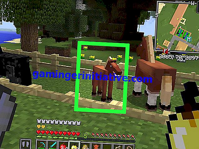 Minecraft: come allevare cavalli